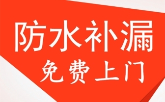 卫生漏水维修