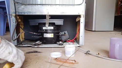 冰箱漏气不制冷维修多少钱