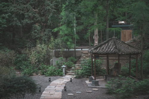 星光下的木兰湖畔山丘中的帐篷与木屋之旅
