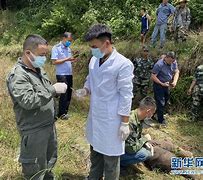 风起象鸣一个国风厂牌的长线养成记