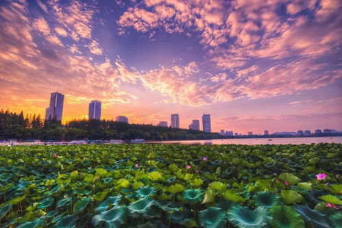 从这个夏天出发 畅爽融入大自然 来日光山谷做快乐 谷民