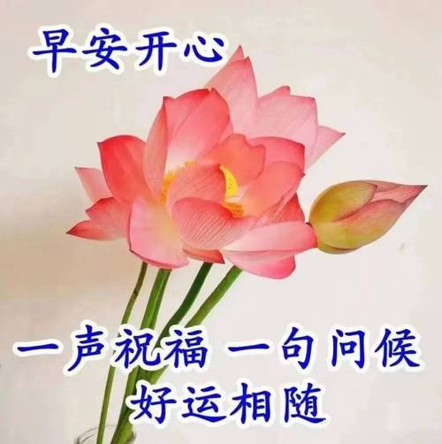 每日暖心早安祝福语