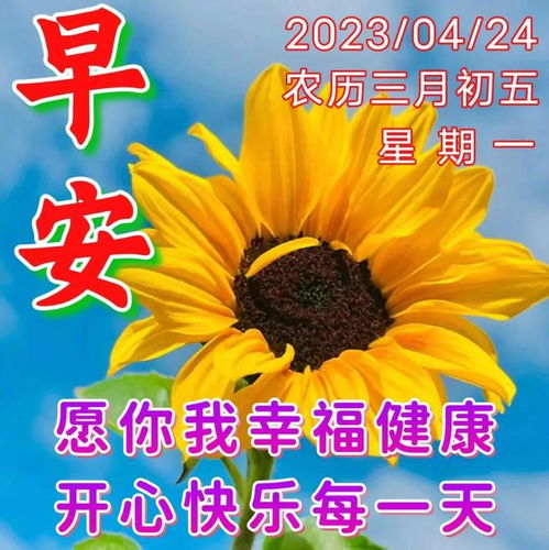 早安最美好的祝福