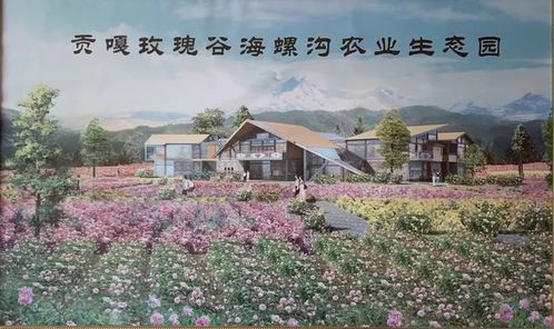 广州再现绿色品种期货新动向，期货行业践行绿色金融有带来展业新机遇