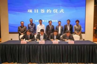 海峡股份：上海东方证券资产管理有限公司投资者于月日调研我司