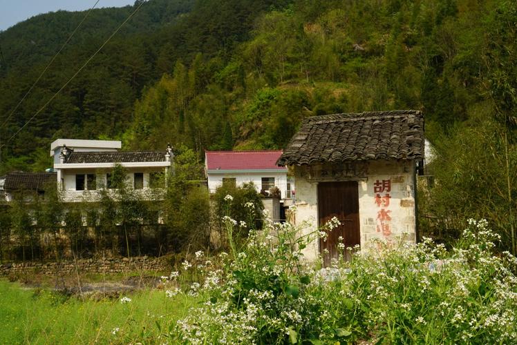 胡家山村的地址在哪里