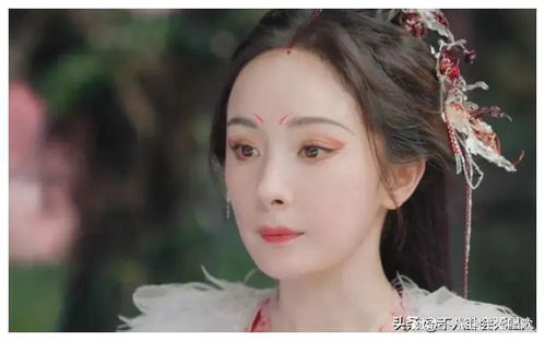 周迅二封白玉兰视后，实力不俗但作品不行，呼声最高的唐嫣很失望