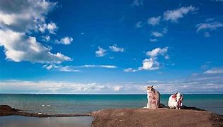 青海旅行三日游