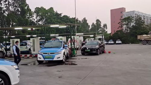 美国首例！加州一城警车弃油车全换电车减少空气污染