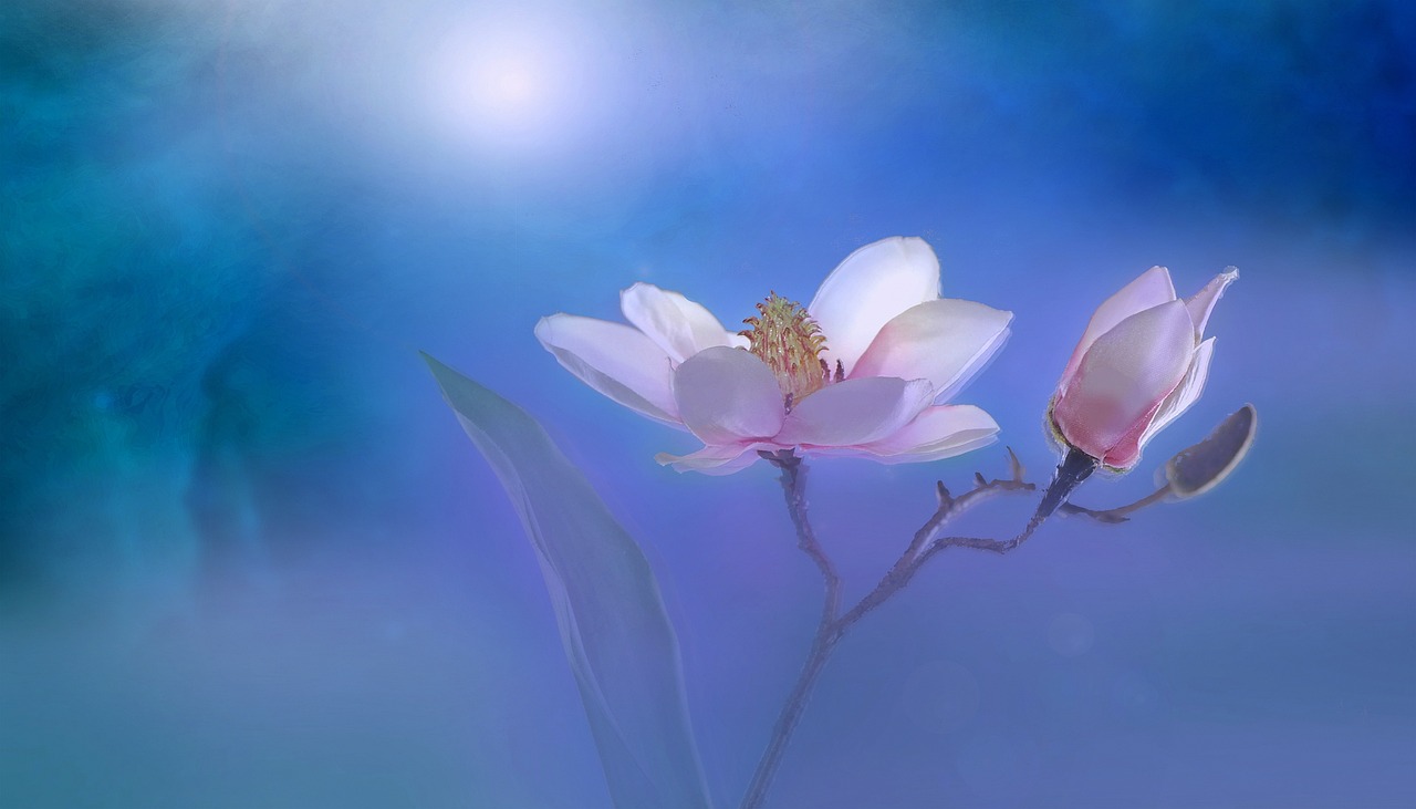 炎炎夏日，穿越时光探寻夏至的诗意画卷——夏至图片大全带你领略二十四节气的魅力