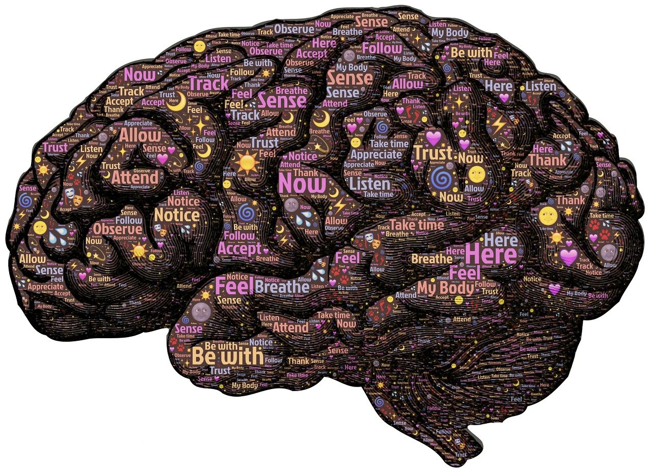 揭秘，探秘日常生活中的蜘蛛痣——它们的背后科学与健康含义