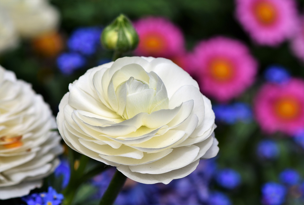 揭秘整容背后，从零到女神，花花的华丽蜕变全过程