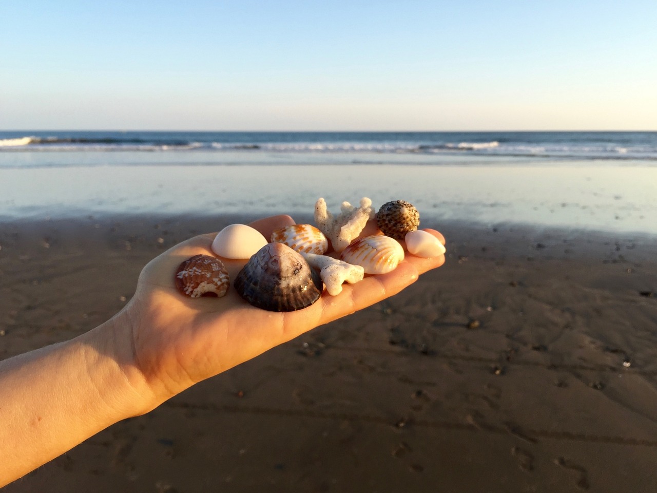 探秘山东威海，独享海滨天堂的海景房生活——一场心旷神怡的海洋之旅