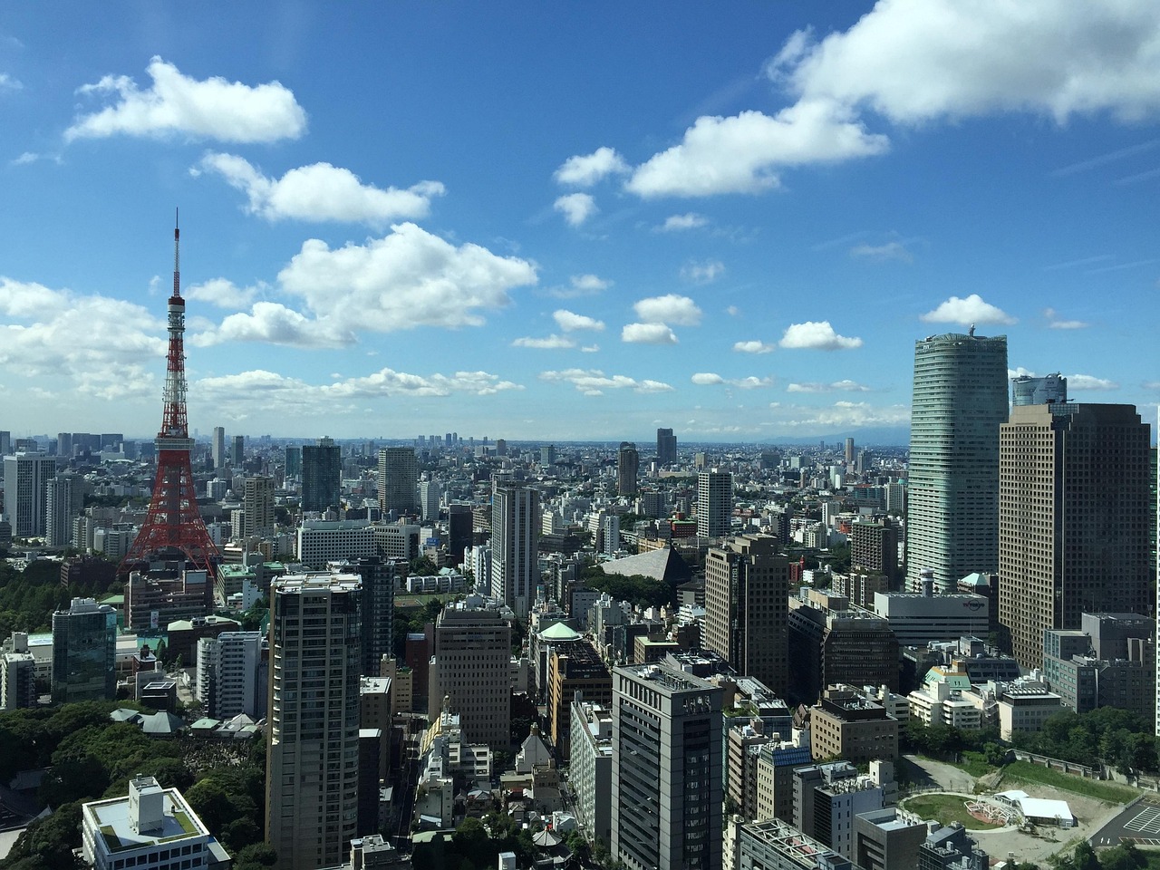 探索新希望家园，一座城市的绿色转型与可持续未来