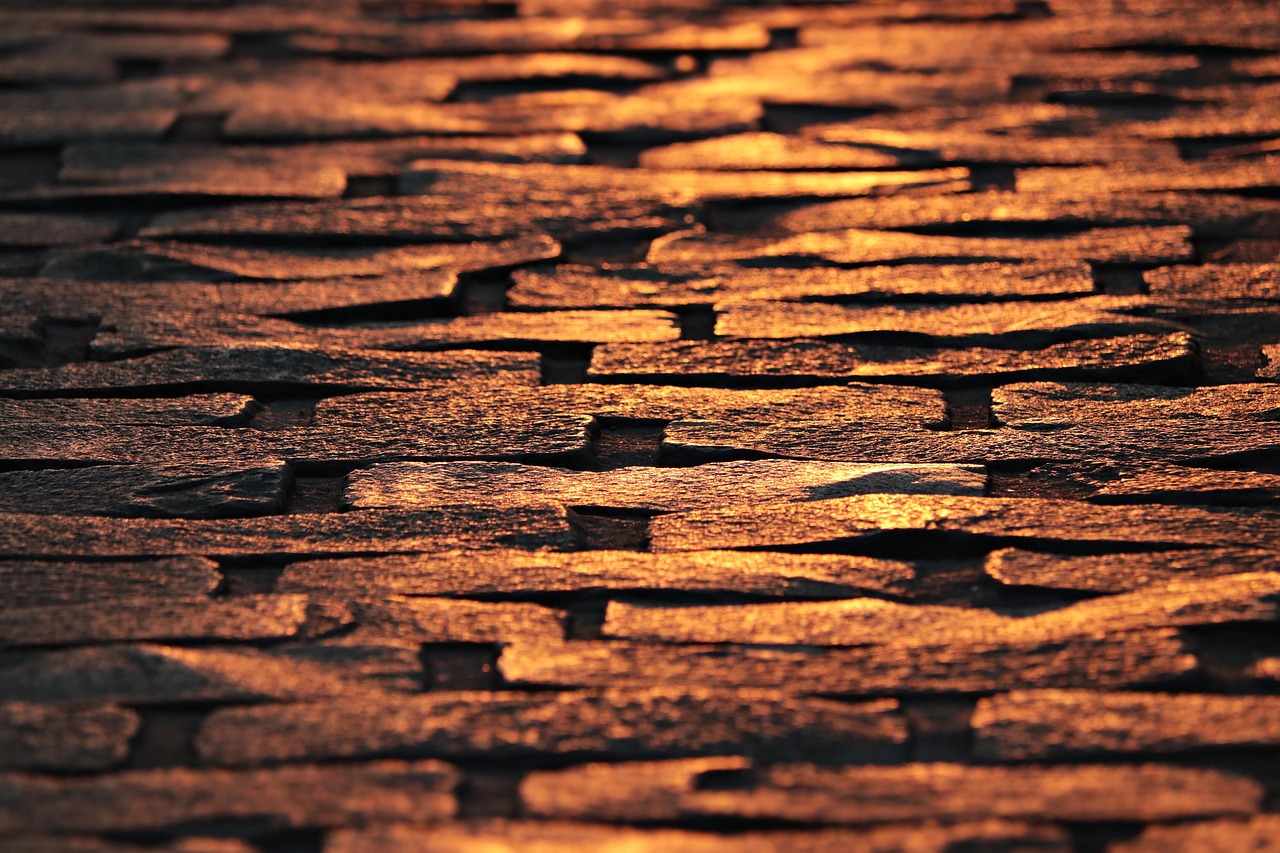 深入理解911事件，历史背景、影响与启示