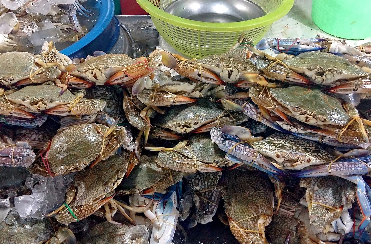 北京西单大悦城，购物与美食的天堂—你的终极购物攻略