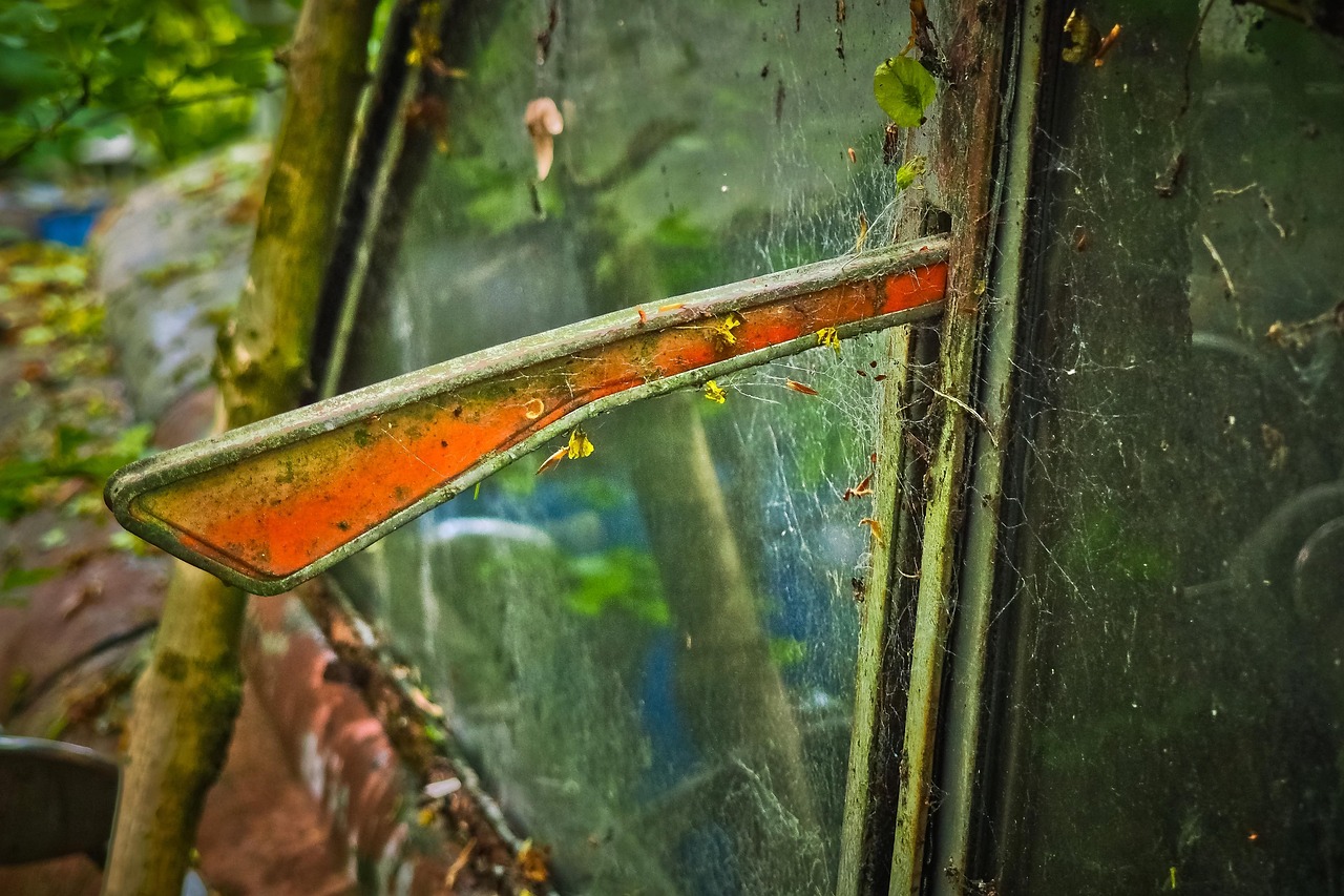 破碎的心伤痕累累如何修复？5步走出情感创伤，重获内心平静与快乐