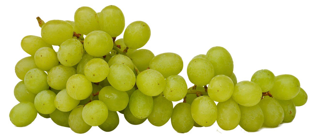 橄榄油可以吃吗？全面解析食用方法、营养功效与选购技巧