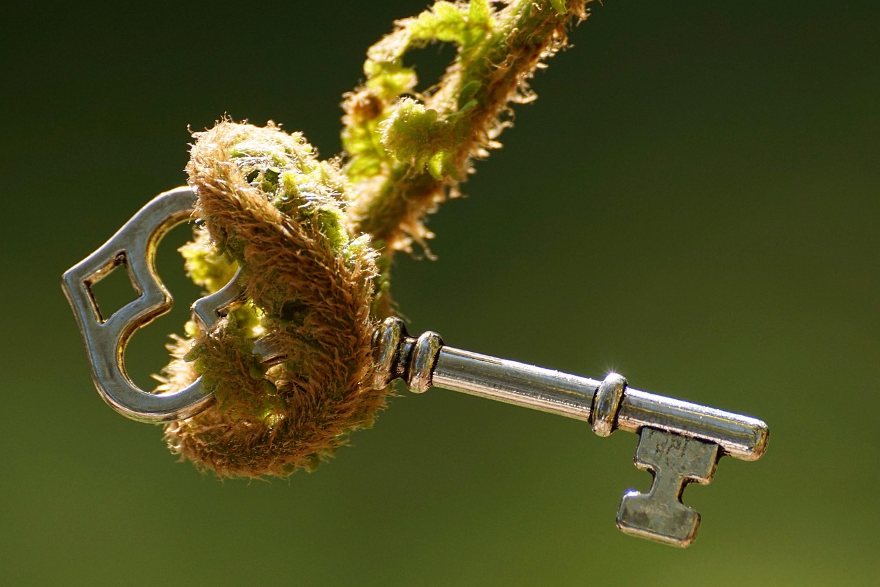 青柠檬产地全解析：从全球分布到种植秘诀，带你轻松挑选最佳风味